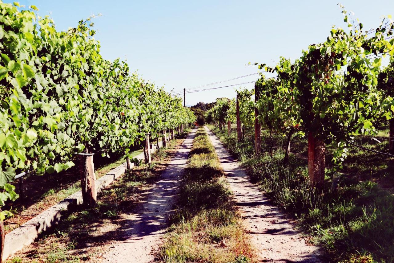 Quinta De Real Villa Valenca Exteriör bild